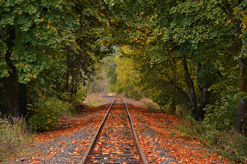 railroad autumn trees oregon rural maple tracks september gaston 2010