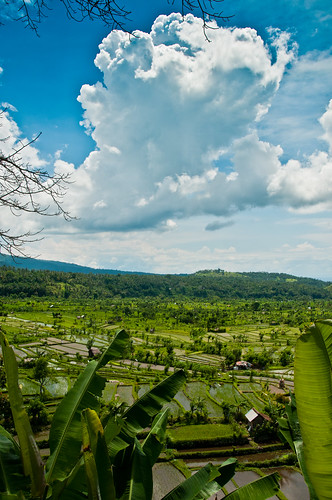 bali clouds drive view fields candidasa geocity exif:focal_length=22mm exif:iso_speed=400 camera:make=nikoncorporation camera:model=nikond300 exif:make=nikoncorporation geostate exif:lens=1802000mmf3556 geocountrys exif:model=nikond300 exif:aperture=ƒ14