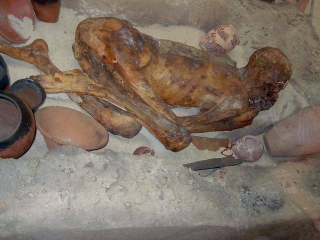 Remains of Mummy - British Museum