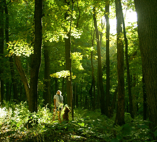 statepark nature minnesota forest theo brigid mn theodore nerstrand bigwoodsstatepark minnesotastatepark