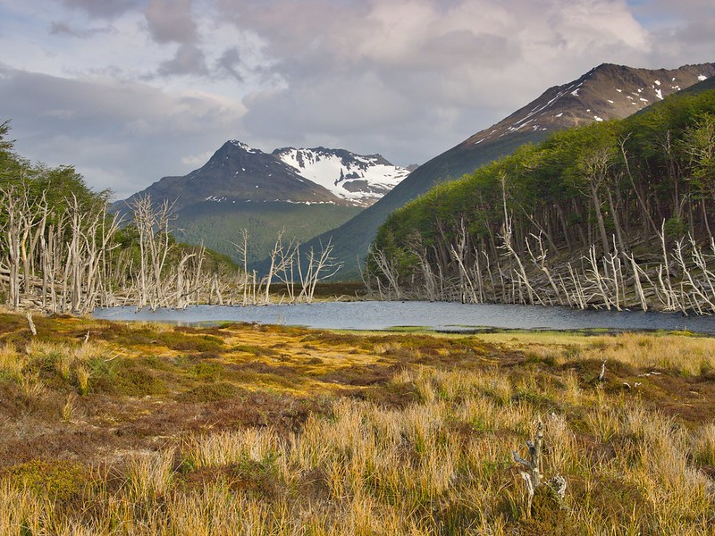 Parque Karukinka (Tierra del Fuego) - Por el sur del mundo. CHILE (25)