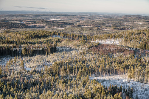 3 vinter skog sverige värmland swe kalhygge flygfoto molkom södrarådom