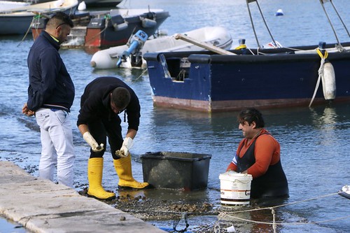 Pescatori al rientro dal lavoro