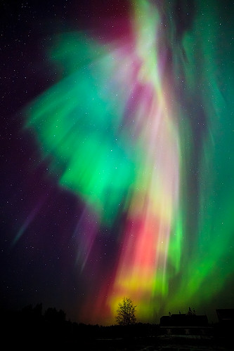 Beautiful multicolored northern lights in Finland