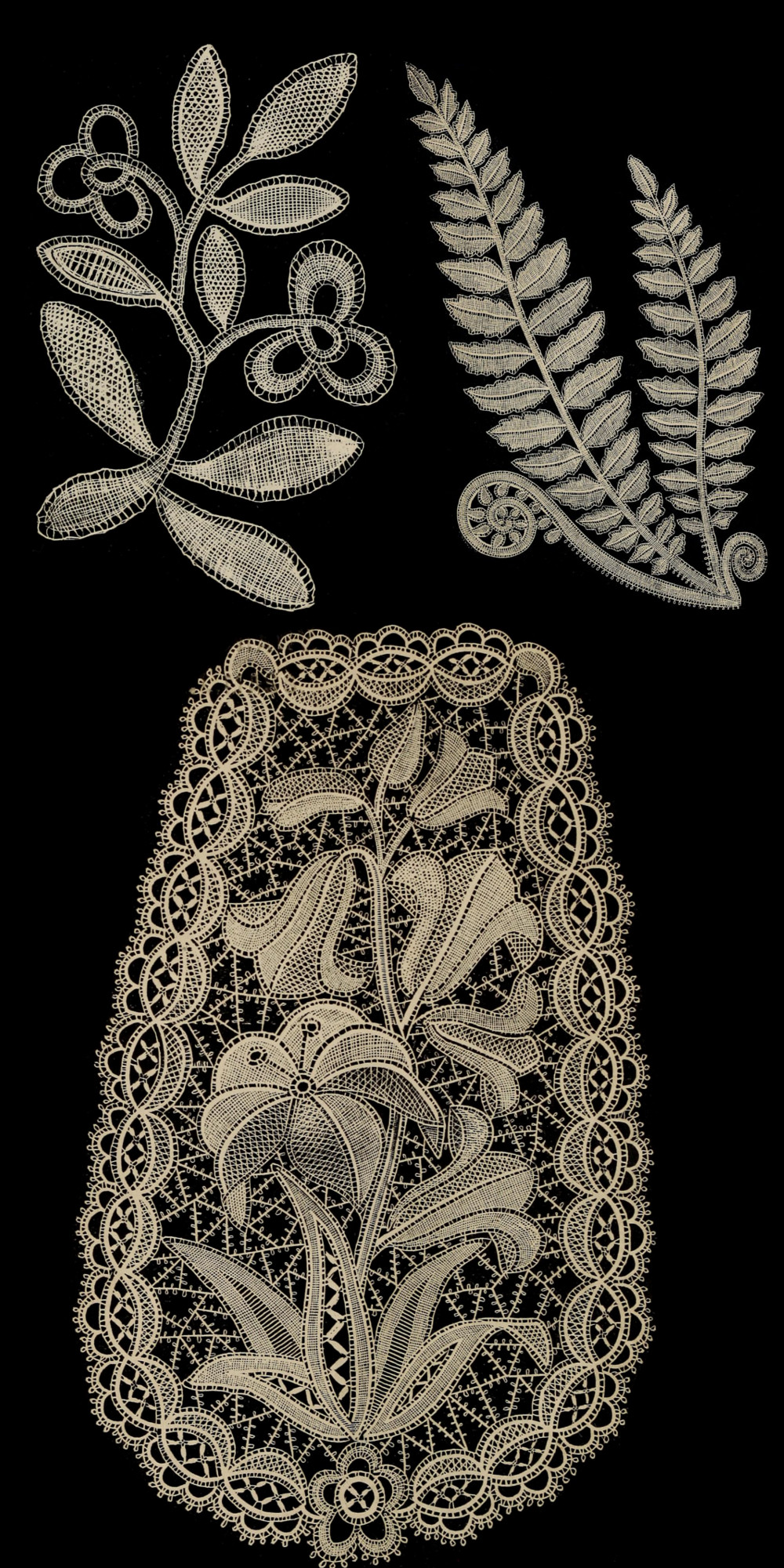 Examples of Honiton Lace from Honiton, Devon