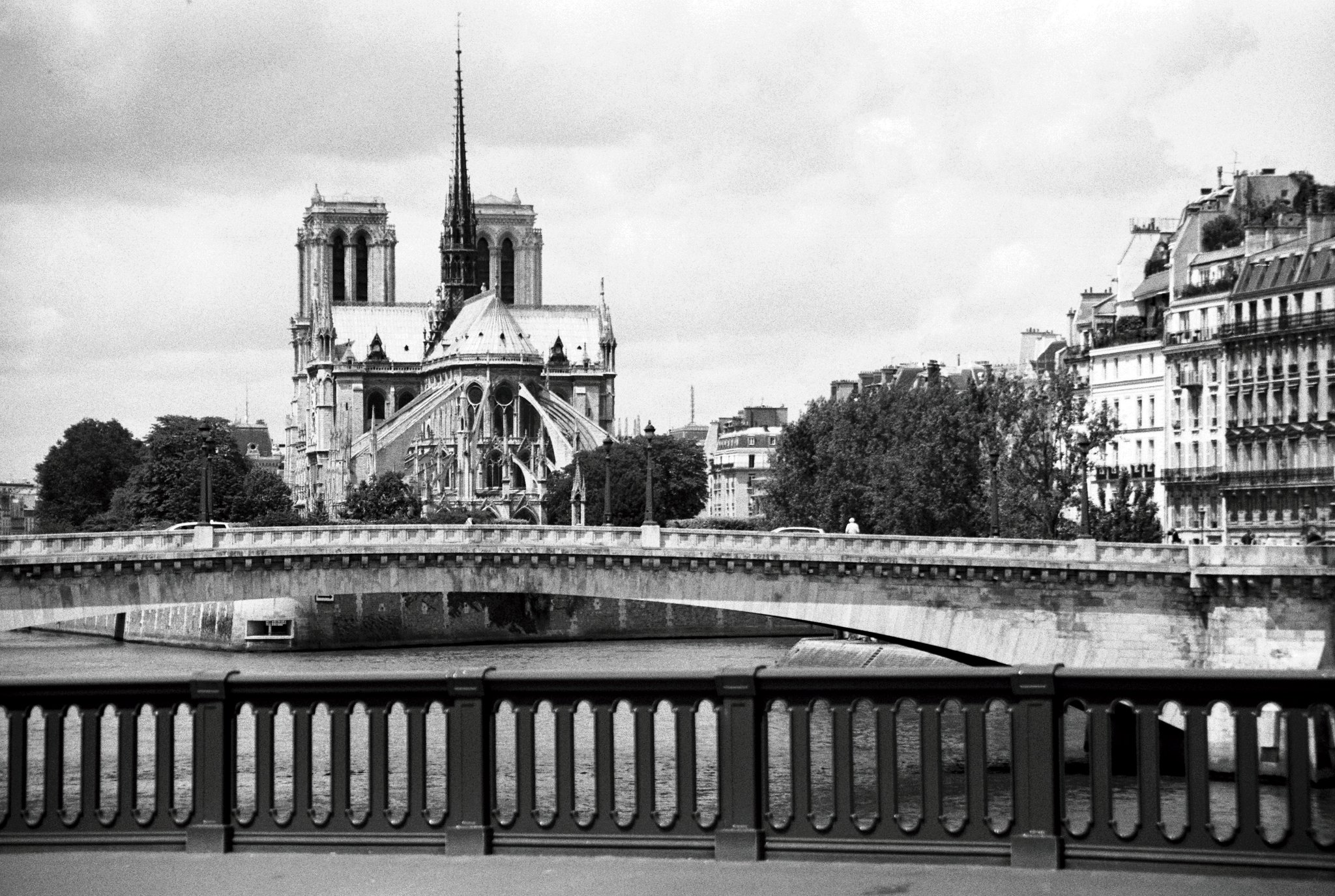 Notre Dame BW