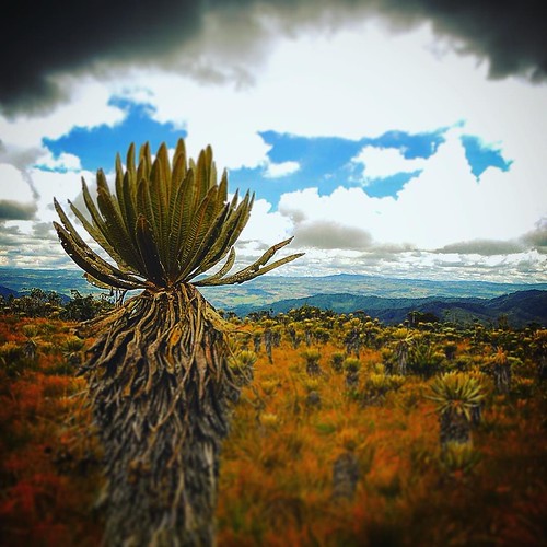 colombia foto fotografia fotografía instagram enmicolombia