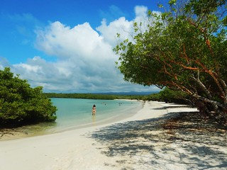 Beach in Baltra - Galapagos islands