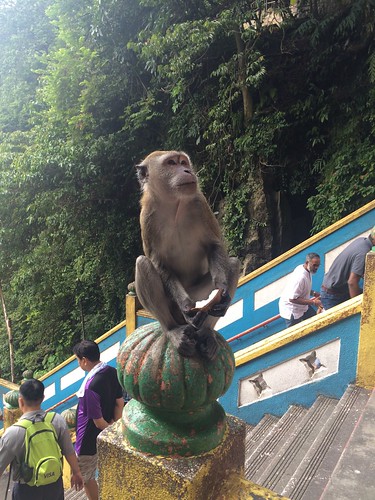 sunset sunrise temple monkey asia malaysia kualalumpur hindu kl petronastowers batucave lifelongdream