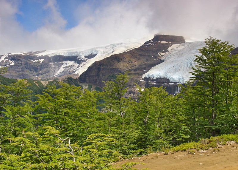 PN Nahuel Huapi. Cerro Tronador - Bariloche: Caminata al refugio Otto Meiling - Por la Patagonia ARGENTINA (10)