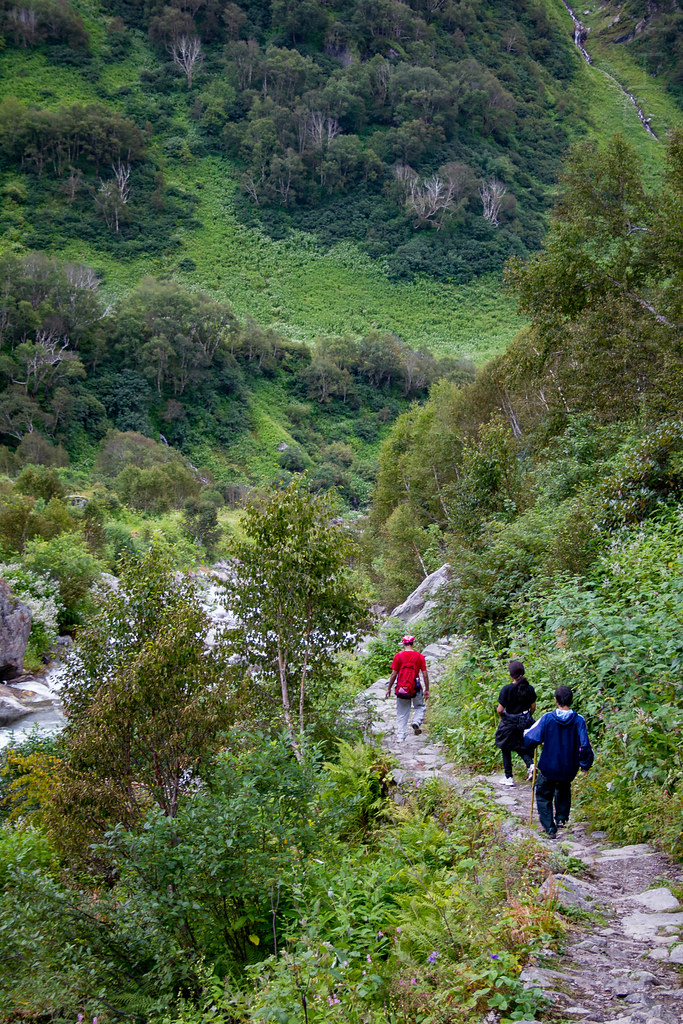 Trek to the Valley of Flowers