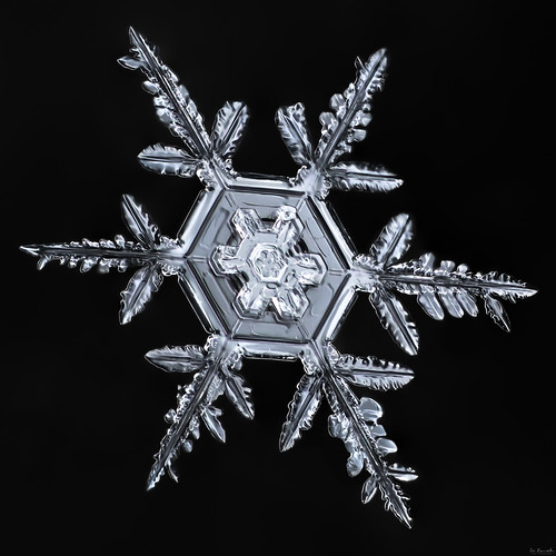 snowflake winter sky snow macro ice nature frozen crystal geometry flake physics fractal mpe focusstacking
