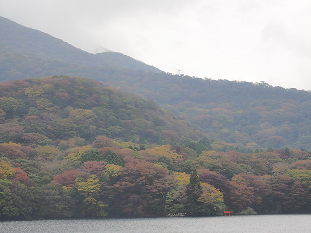 Konichiwa Japón: nuestro segundo viaje - Página 2 24270435475_7c77305897_z