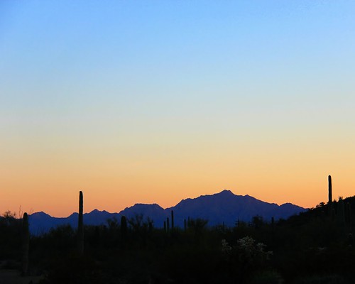 sunset arizona silhouette nationalpark desert nationalmonument organpipe organpipecactus