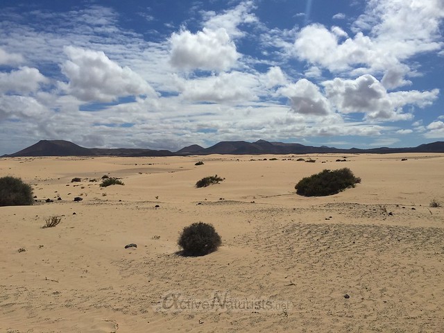 view Corralejo 0000 Fuerteventura, Canary Islands, Spain