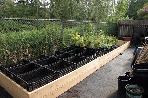 New Raised Beds