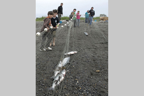 Children work to pull the tribe's net from Cook Inlet.