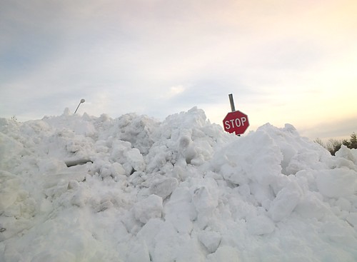 Stop Sign in Snowbank #throughglass