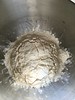 Sacaduros - Sponge and flour blanket