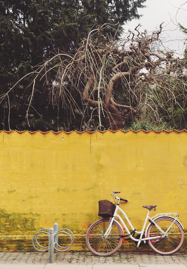 Copenhagen bicycle