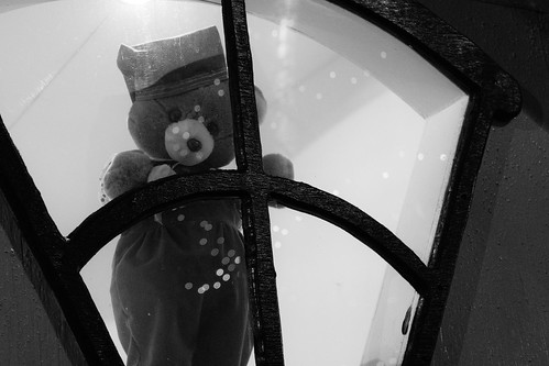 bear christmas reflection window blackwhite