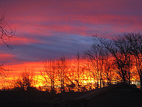 morning trees sky sun color tree colors clouds sunrise dawn nc northcarolina daybreak lumberton robesoncounty