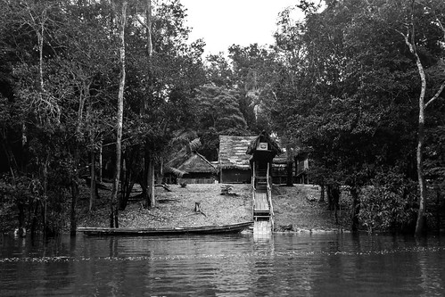 travel cruise vacation house peru river wooden amazon canoe hut jungle pe loreto pacayasamirianationalreserve delfinii