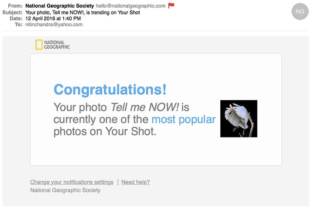 Your photo Tell me NOW is trending on Your Shot