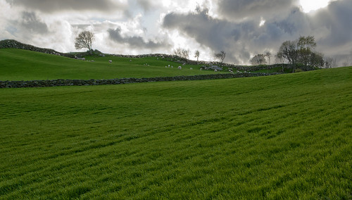 sky green field norway rural landscape norge spring sheep farm bru rogaland stonefence nikond700