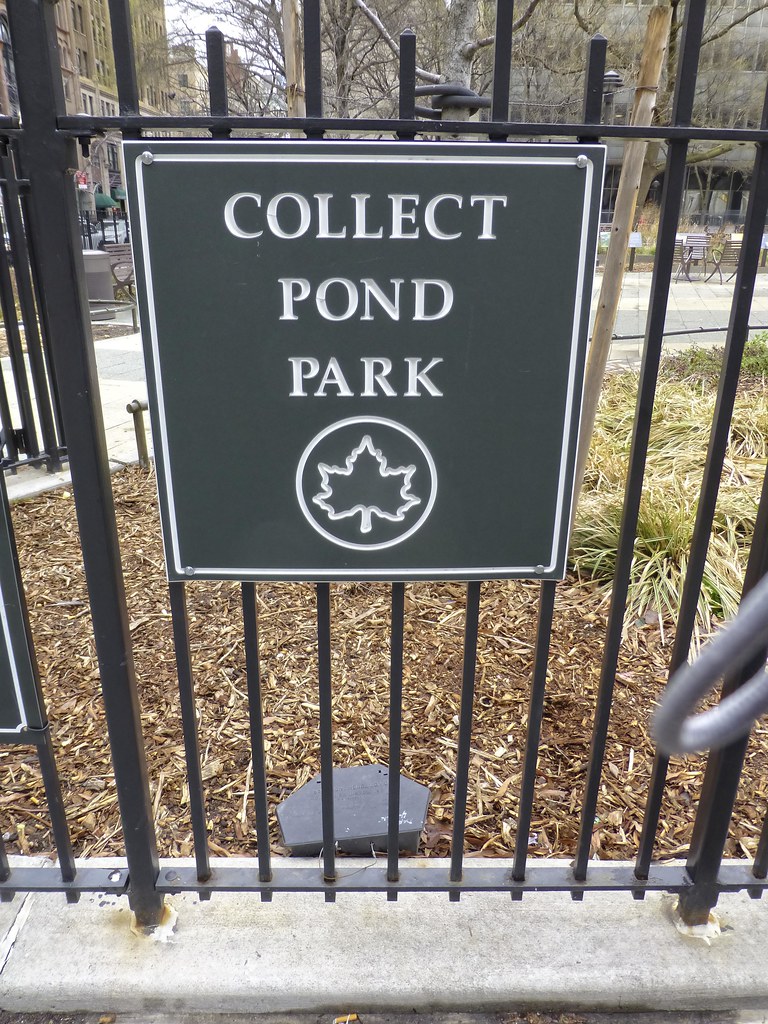 Collect Pond Park and rat trap