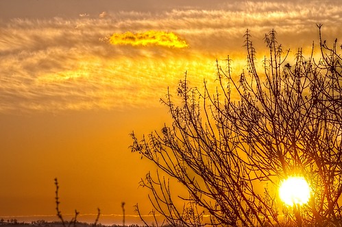 light sky tree yellow clouds sunrise landscape jour nuages paysage arbre contrejour k5 matin aurore leverdesoleil