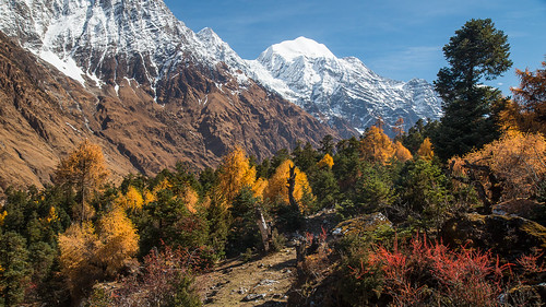 nepal himalaya westernregion manaslucircuit mountainkingdoms samagaun