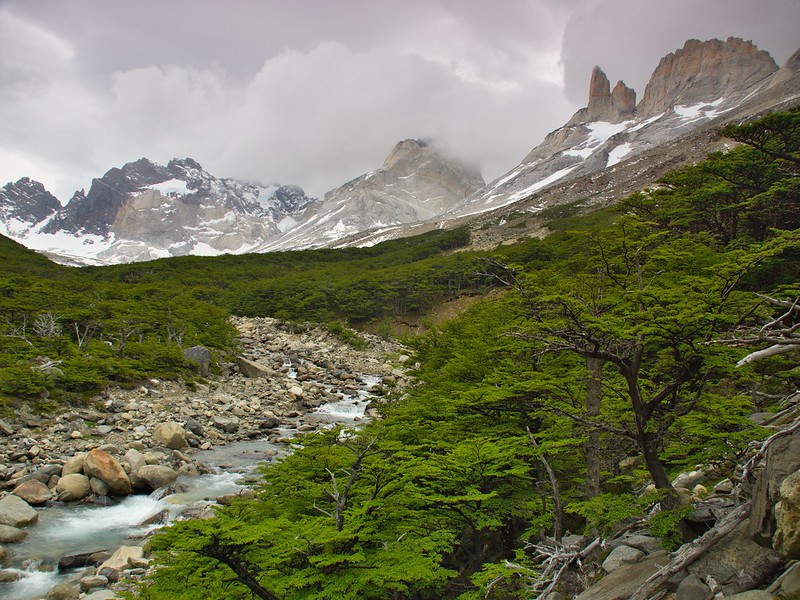 Torres del Paine: Valle del Francés (pata central W) - Por el sur del mundo. CHILE (18)