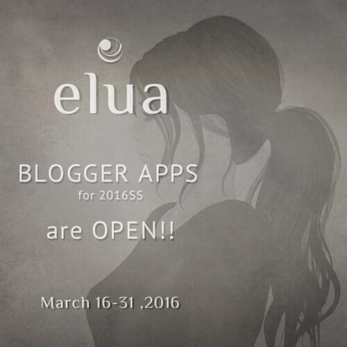 +elua+ Blogger Application