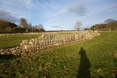 Hadrian's Wall at Planetrees