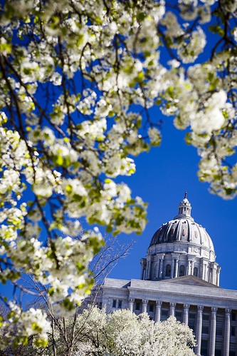 Notley Hawkins Photography, Jefferson City MO Photographer, Jefferson City MO Photo, Jefferson City Missouri Photography, Jefferson City Missouri, Missouri State Capitol, Spring Blooms, floral, Jefferson City MO, http://www.notleyhawkins.com/