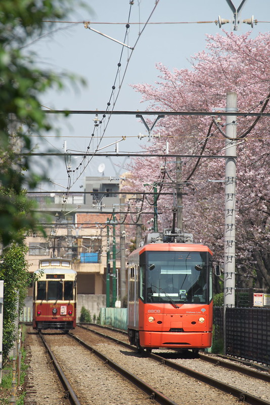 Tokyo Train Story 都電荒川線 2016年3月31日