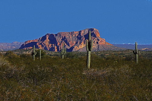 saguaro mountainatcochranarizona