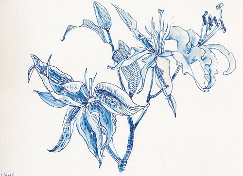 Sketchbook #94: Lilies