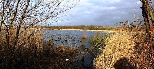 berlin wolken bäume sträucher berlinerforsten moorlinse forstamtpankow revierblankenfelde winter2016