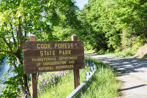 cookforeststatepark pennsylvaniastateparks cooksburg pennsylvania unitedstates
