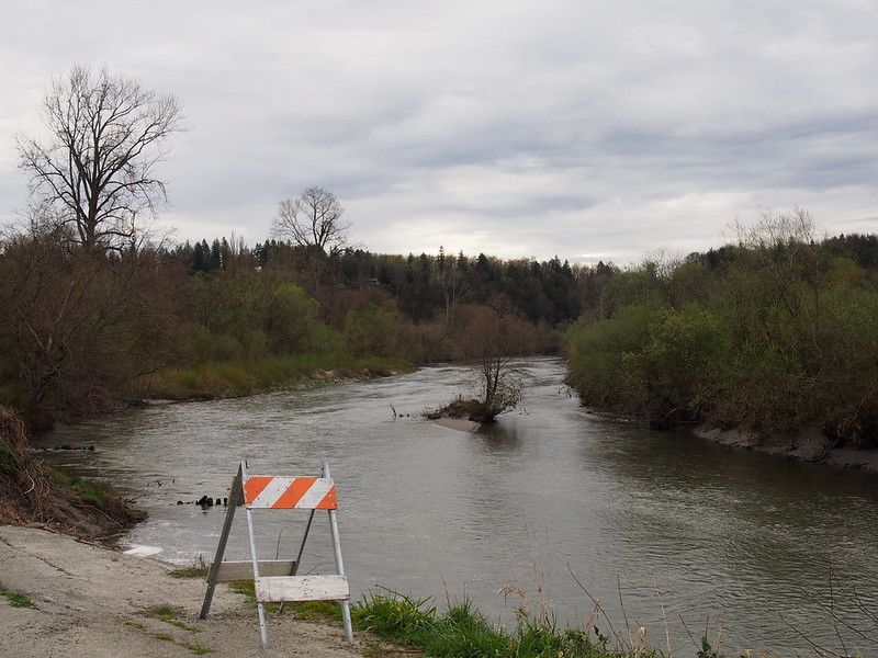 Norman Road Washout: The Stillaguamish River was among the many rivers to wash stuff out during our record Winter.