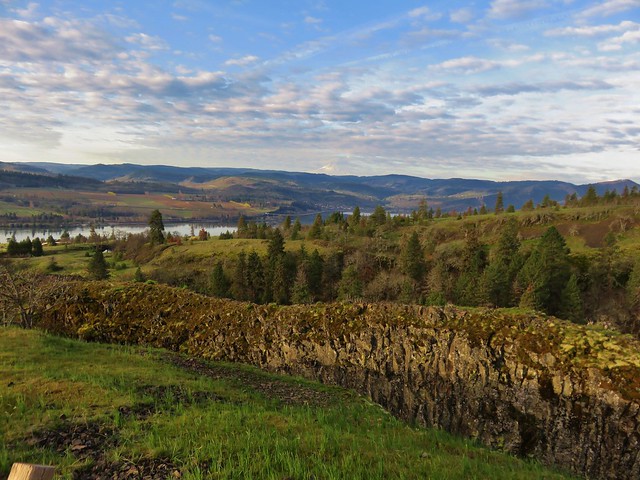 Mt. Hood and the Columbia River from the Catherine Creek Trail