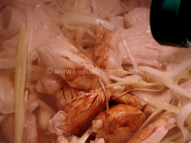 Soupe de Poulet Asiatique © Ana Luthi Tous droits réservés 0002