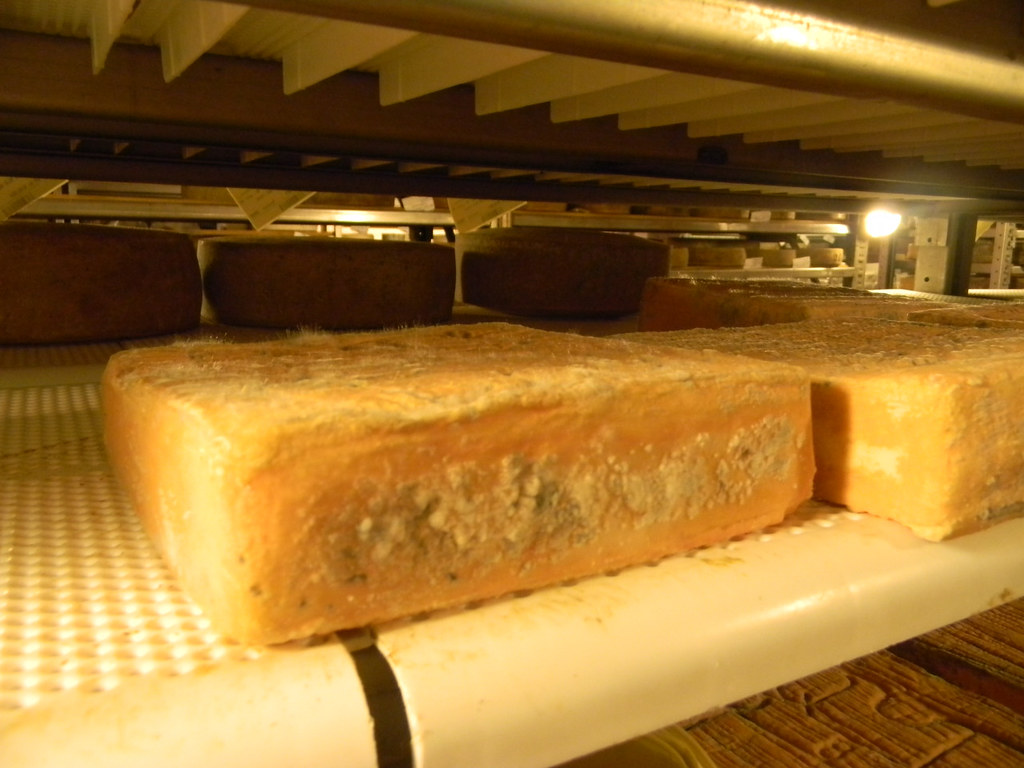 A Trip to a Cheese Cave, Arona, Piedmont, Italy 6