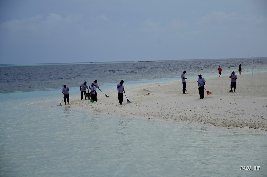 EL  REEF - SOÑANDO DESPIERTO EN MALDIVAS (2)