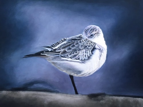 Marie-Josee Brown - bird