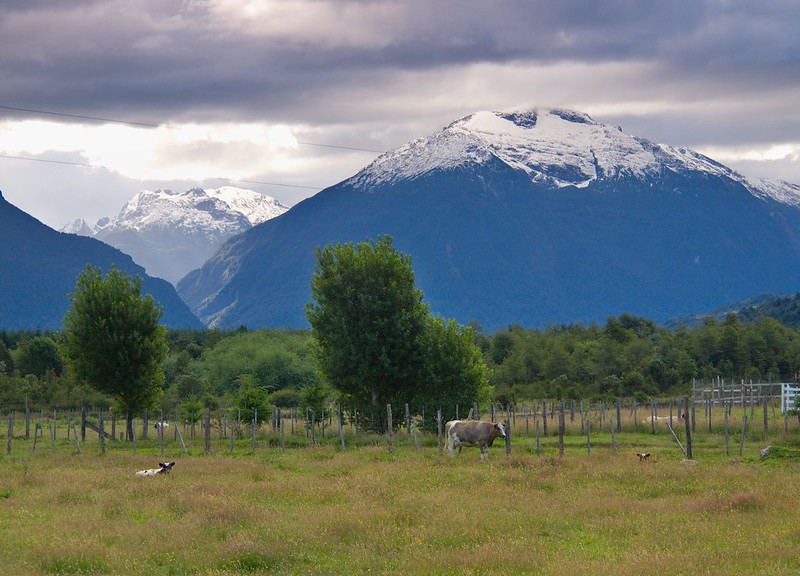 Ruta Austral: De La Junta a Puerto Aysén - Por el sur del mundo. CHILE (25)