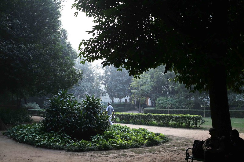 City Season - Living With PM 2.5, Lodhi Gardens and Elsewhere