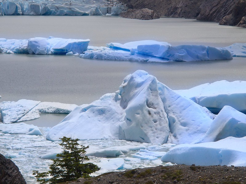 Torres del Paine (Lago Grey). Pata izquierda de W: de Lago Grey a Paine Grande - Por el sur del mundo. CHILE (11)